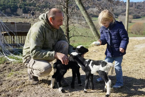 visite de la ferme à Forcalquier au Domaine du Bas Chalus