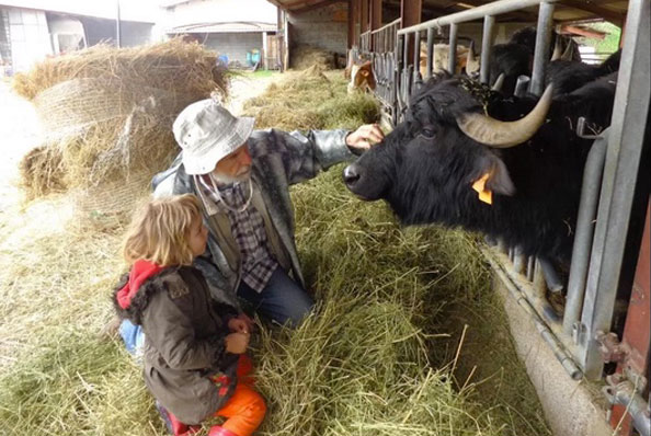 visite de la ferme à Forcalquier au Domaine du Bas Chalus