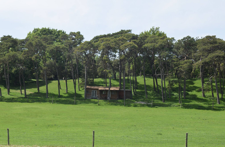 Parc du Domaine du Bas Chalus à Forcalquier 04