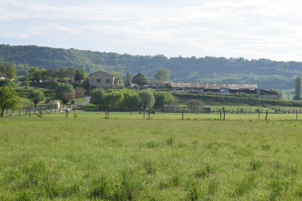 Parc du Domaine du Bas Chalus à Forcalquier 04