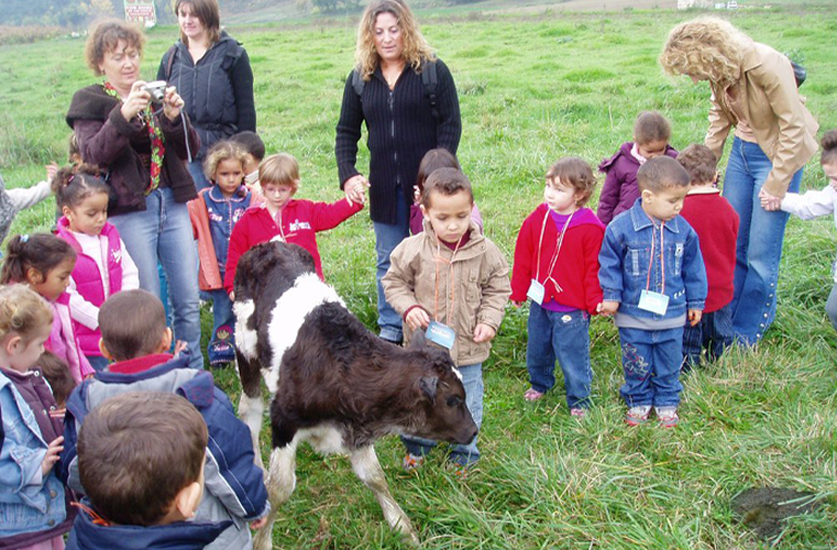 visite de la ferme à Forcalquier au Domaine du Bas Chalus